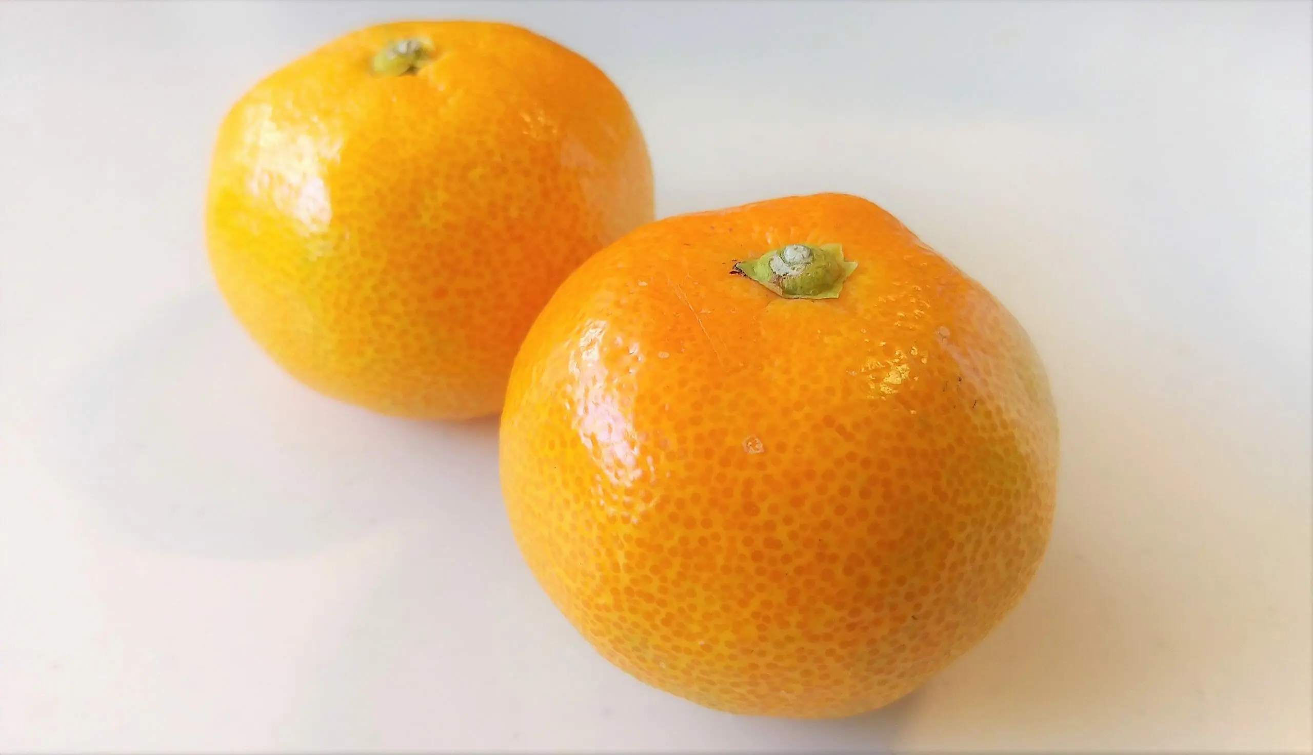 【misen2014 さま】* fruit ornaments ❀ みかんウクライナより❀